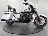 Indian CHIEFTAIN DARK HORSE *SCHECKHEFTGEPFLEGT - INDIAN CHIEFTAIN DARK HORSE
