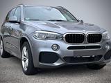 BMW X5 xDrive30d-M Sportpaket-Kamera-CarPlay - BMW X5 Gebrauchtwagen in Nürnberg
