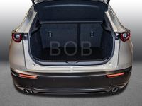 Mazda CX-30 - Vorschau Bild 8