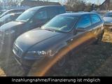 Audi A3 1.6 FSI Attraction+SHZ+Klima - Audi A3: Fsi