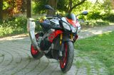 Aprilia Tuono V4 1100 Factory - APRILIA TUONO 1100 V4