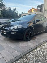 Fiat Punto 1.2 8V MyStyle | 69 PS | Schwar... - Fiat Punto: 1.6