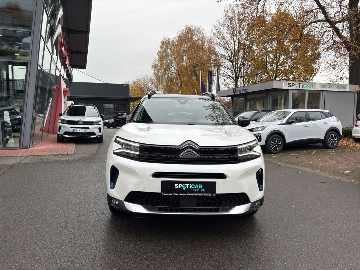 Fahrzeugabbildung Citroën C5 Aircross Shine Pack PT 130 EAT8 El. Pano Navi