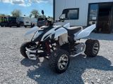 Beeline ATV 300 XS - GEBRAUCHT ATV
