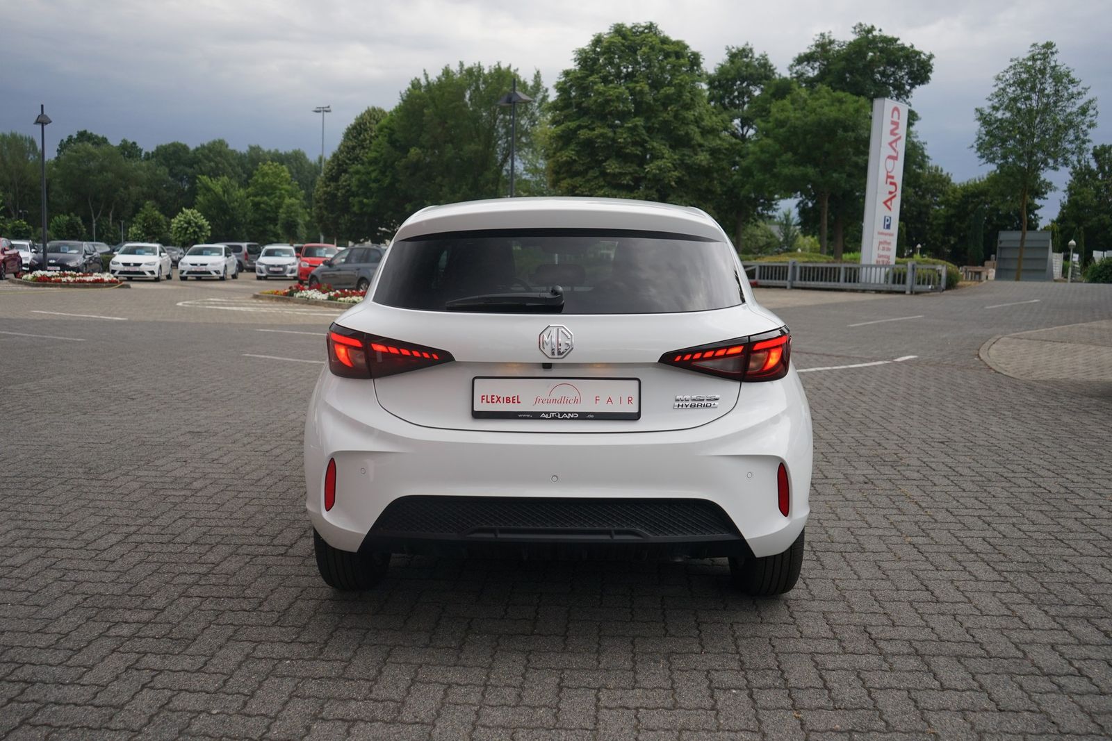 MG3