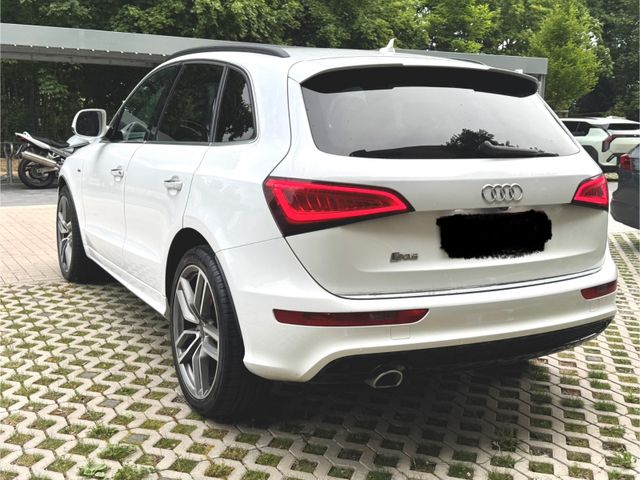 AUDI Q5 2.0 TDI S-Line Plus 160.tkm EURO6 Booster Sou
