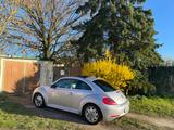 Volkswagen Beetle 1.2 TSI BMT Design Design (Vollleder) - Volkswagen Beetle mit Panoramadach