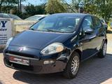 Fiat Punto Pop KLIMA/TÜV-06-28/1HAND - Fiat Punto: 1.2