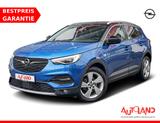 Opel Grandland 1.2 Ultimate LED Navi 360° Winterpaket - Opel Grandland (X) in Chemnitz