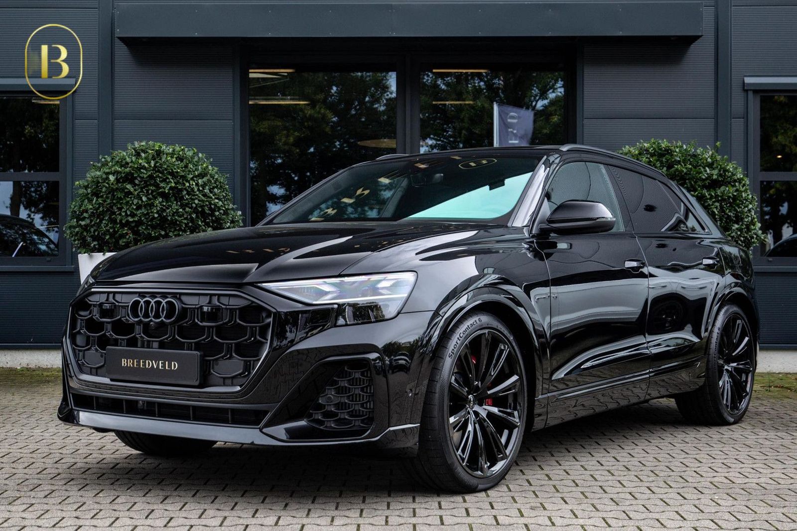 Audi Q8 60 TFSI e Competition 490pk, Carbon, Full-opt