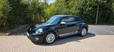 Volkswagen VW Beetle/ Käfer - Volkswagen Beetle: Kleinwagen