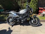 Benelli NEUE BENELLI LEONCINO 800 TRAIL - Scrambler  - BENELLI ENDURO