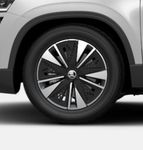 Skoda Karoq - Vorschau Bild 9