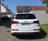 Audi SQ5 3.0 V6 TDI quattro Competition *s-heft* - Audi: Geländewagen, Q6