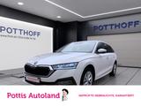 Skoda Octavia Combi 2.0 TDI DSG FIRST EDITION STDHZG A - Skoda Octavia Gebrauchtwagen in Hamm