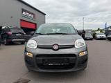 Fiat Panda Easy - graue Fiat Panda