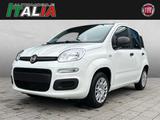 Fiat Panda ICON 1.0 GSE Hybrid - Fiat Panda Neuwagen mit Benzin-Antrieb