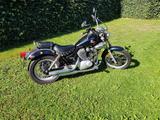 Yamaha Virago  XV 250 - YAMAHA XV 250