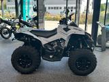 Can-Am Renegade 650 DPS, ABS, T3B, 105 KM/H - CAN-AM 650