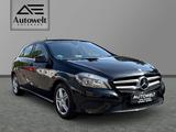 Mercedes-Benz A 180 BlueEfficiency*KLIMA*SHZ*NAVI*PDC*TEMPO - Mercedes-Benz A 180 aus 2013