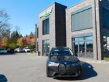 BMW iX 40 xDrive HUD AHK HARMAN KARDON