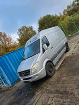 Mercedes-Benz Mercedes Benz Sprinter  313 CDI - gebrauchte Mercedes-Benz Sprinter aus dem Jahr 2007