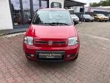Fiat Panda 1.3 JTD 70 PS Climbing 4X4 Klima - Fiat Panda in Oberhausen
