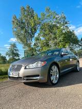 Jaguar XF 4.2 L Super V8 Super V8 - Jaguar XF: 4.2