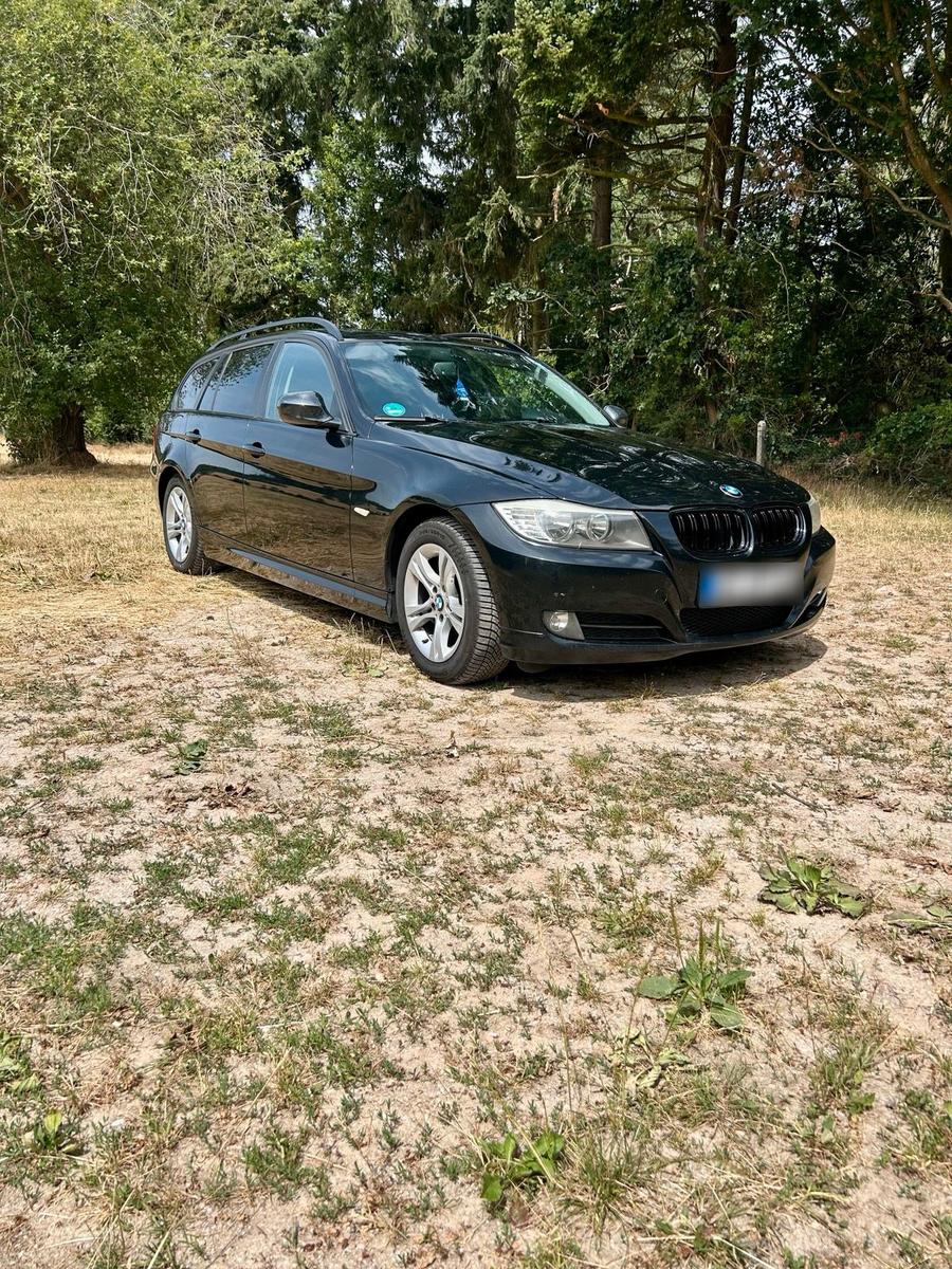 BMW 318 2009 — rear view