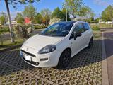 Fiat Punto Klima 1.2 Top Zustand! Winterauto - Fiat Punto Gebrauchtwagen in Halle