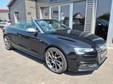 Audi S5 Cabriolet 3.0 TFSI quattro - Audi S5: Cabrio