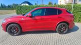 Alfa Romeo Stelvio QV Quadrifoglio Top Zustand  - Alfa Romeo Stelvio: Quadrifoglio
