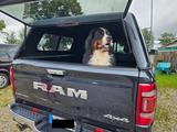 Dodge RAM 1500 Limited mit Hardtop - Dodge RAM: Hardtop