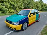 Volkswagen Polo 1.4-16V 115PS Harlekin zu ... - Volkswagen Polo: Harlekin