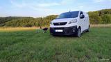 Peugeot Expert BlueHDi 120  Wohnm.-Zul. TÜV/Insp. Neu - Peugeot Wohnmobil oder -wagen