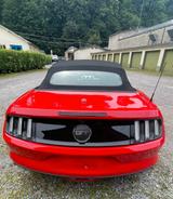 Ford Mustang 5.0 Ti-VCT V8 GT Auto GT - Ford Mustang mit Benzin-Antrieb: Cabrio, 5.0