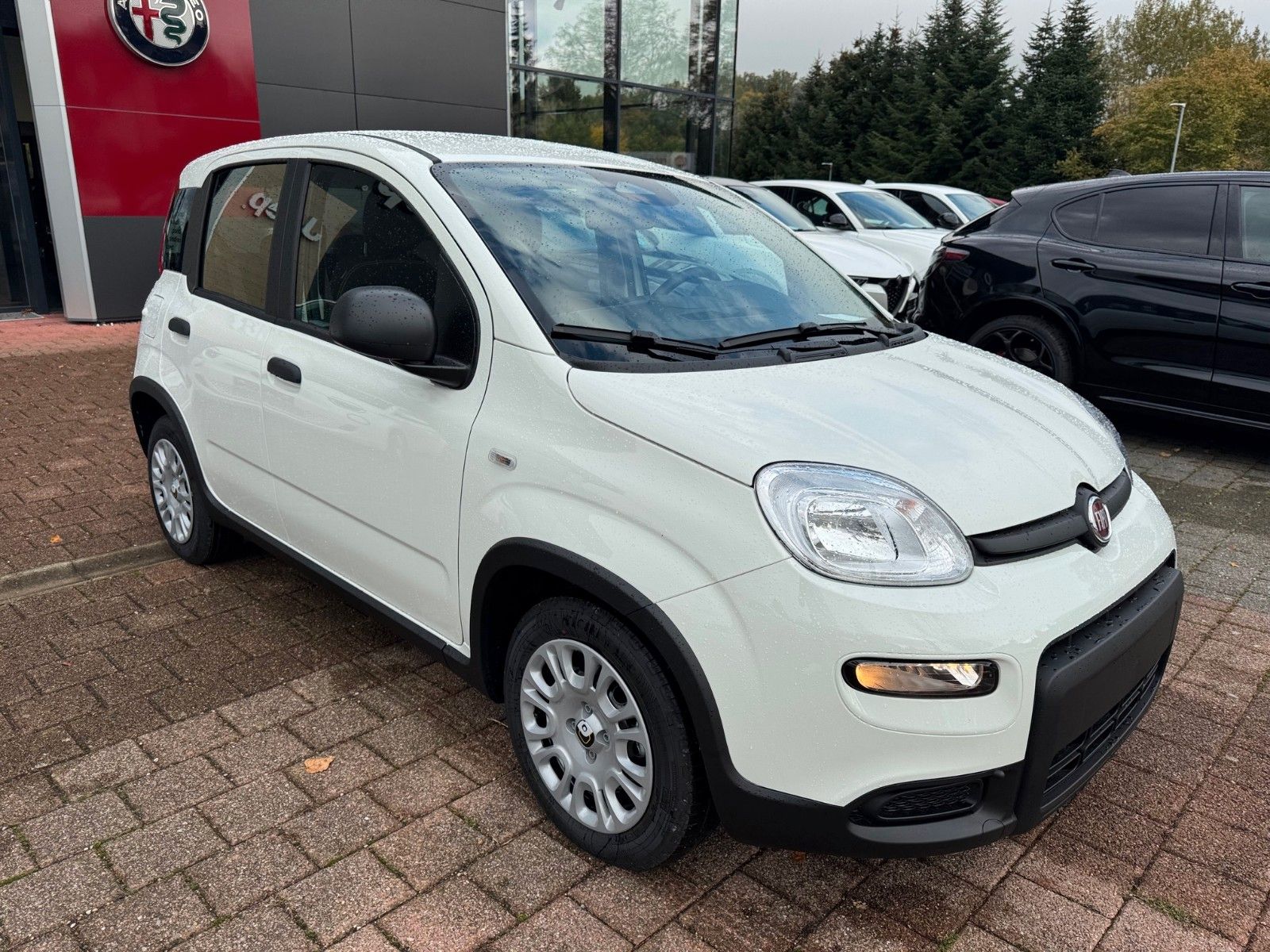 Fahrzeugabbildung Fiat PANDA PANDINA 1.0 GSE PDC DAB KLIMA DIGITALTACHO