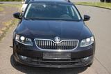 Skoda Octavia 1.9 TDI Green tec Joy Combi Joy - Skoda Octavia: Joy