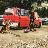 Volkswagen T4 Caravelle 2.5 TDI 75kW lang Standard - Volkswagen T4 Caravelle: Van