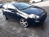 Fiat Punto 1.2 8V STREET STREET - Fiat Punto in Essen