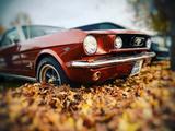 Ford Mustang 1966 - Ford Mustang: Limousine