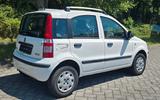 Fiat Panda 1.4 8V Natural Power, - gebrauchte Fiat Panda aus dem Jahr 2011