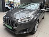Ford Fiesta Titanium - Ford Fiesta: Leder