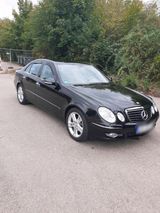 Mercedes-Benz Mercedes E 230 Avangarde 7 Gang Benzin - Mercedes-Benz E 230 mit Benzin-Antrieb