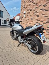 Honda CB600F Hornet - Offers matching your search criteria
