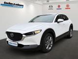 Mazda CX-30 e-SKYACTIV G 140 Autom. Centre-Line - Mazda CX-30 Centre-line mit Hybrid-Antrieb (Benzin/Elektro)