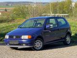 Volkswagen Polo 75 Servo Colour  1 Hand guter Zustand Tüv N - gebrauchte Volkswagen Polo aus dem Jahr 1998
