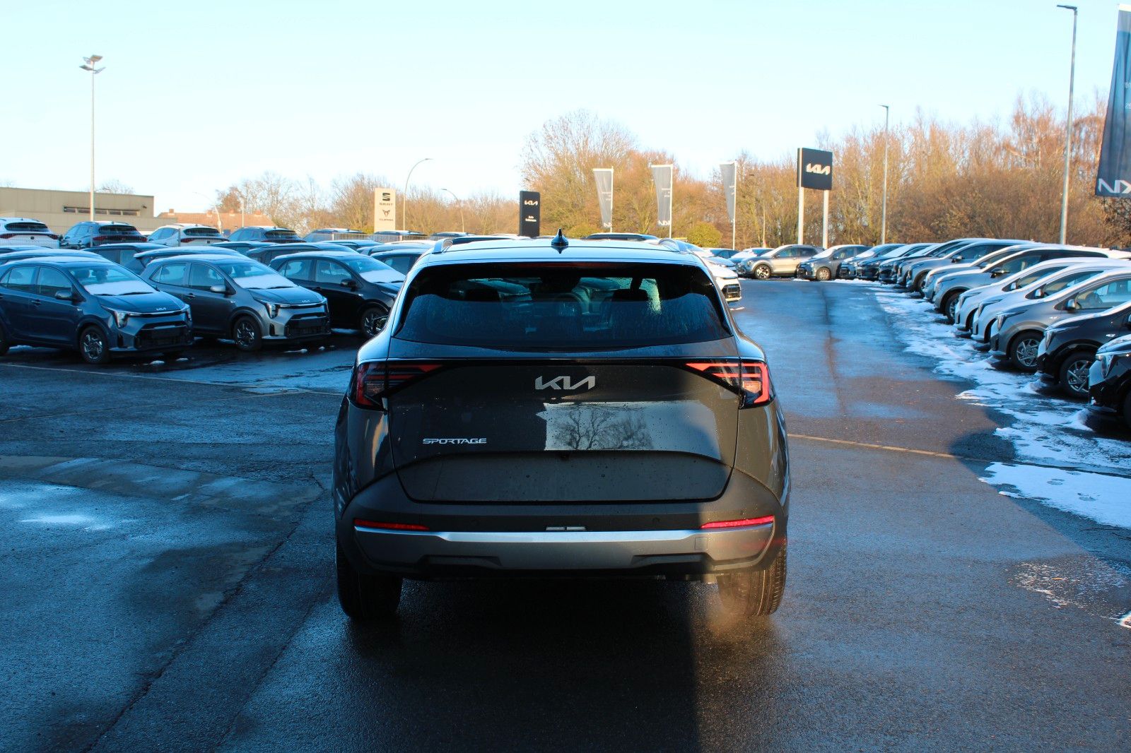 Kia Sportage - Bild 6