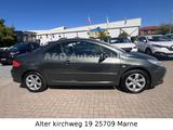 Peugeot 307 CC Cabrio-Coupe Filou KLIMA NIVI LEDER SHZ - Peugeot 307: 307cc