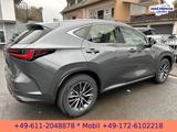 Lexus NX 350h E-Four Business*NAVI*BI-LED*CarPlay* - Lexus NX Business